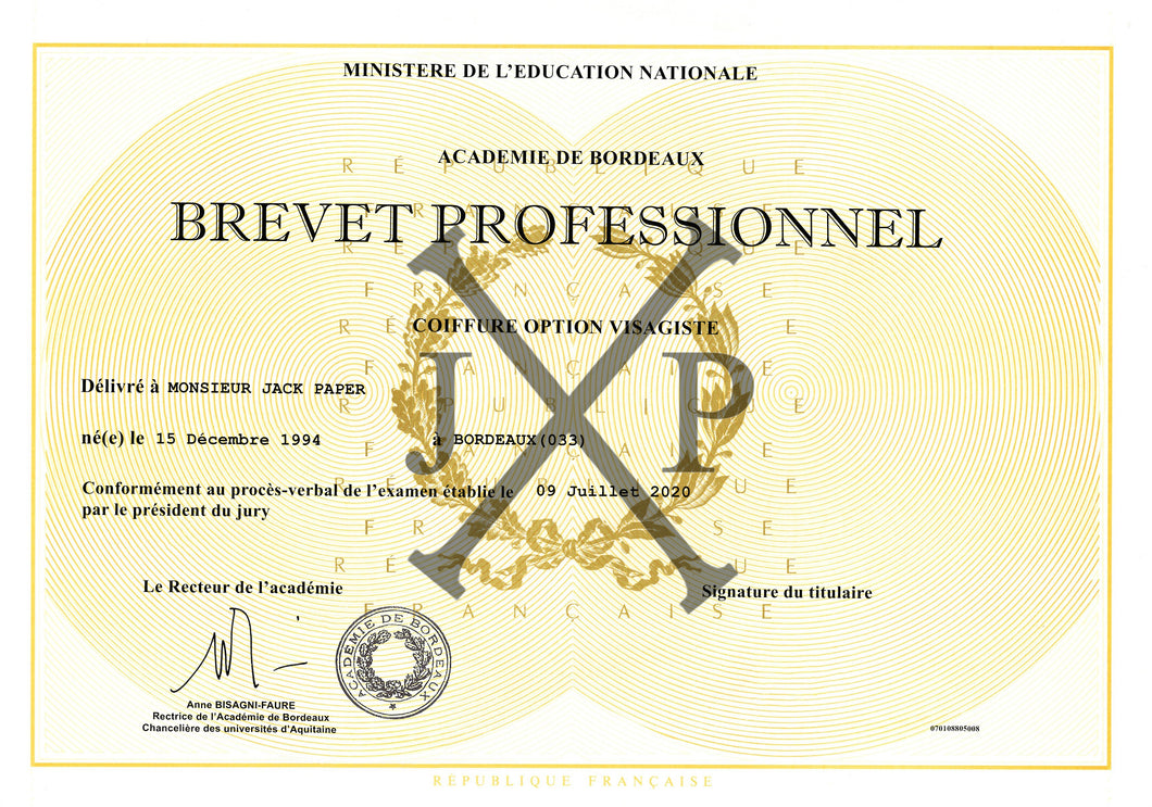 BREVET PROFESSIONNEL