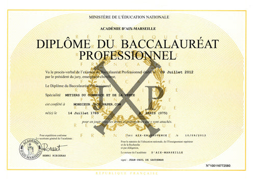 BAC PROFESSIONNEL